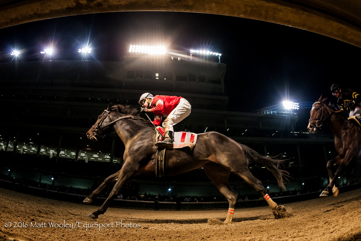 McCraken (Ghostzapper) wins the Kentucky Jockey Club Gold Cup at Churchill Downs on 11.26.2016. Brian Hernandez up, Ian Wilkes trainer, Witham Thoroughbreds owner.
